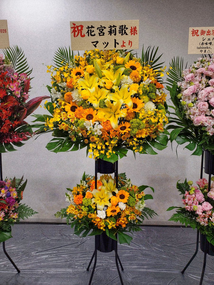 ずっと赤白のイメージやったけど、今回は黄色になったで～！
でもこの明るさ、莉歌にめっちゃ似合ってると思てる☀️
莉歌ほんま太陽みたいやし、これはこれで大正解やと思てる。
少しでもこの気持ち、莉歌に届いてたら嬉しいで✨

#花宮莉歌
#なごみら2026