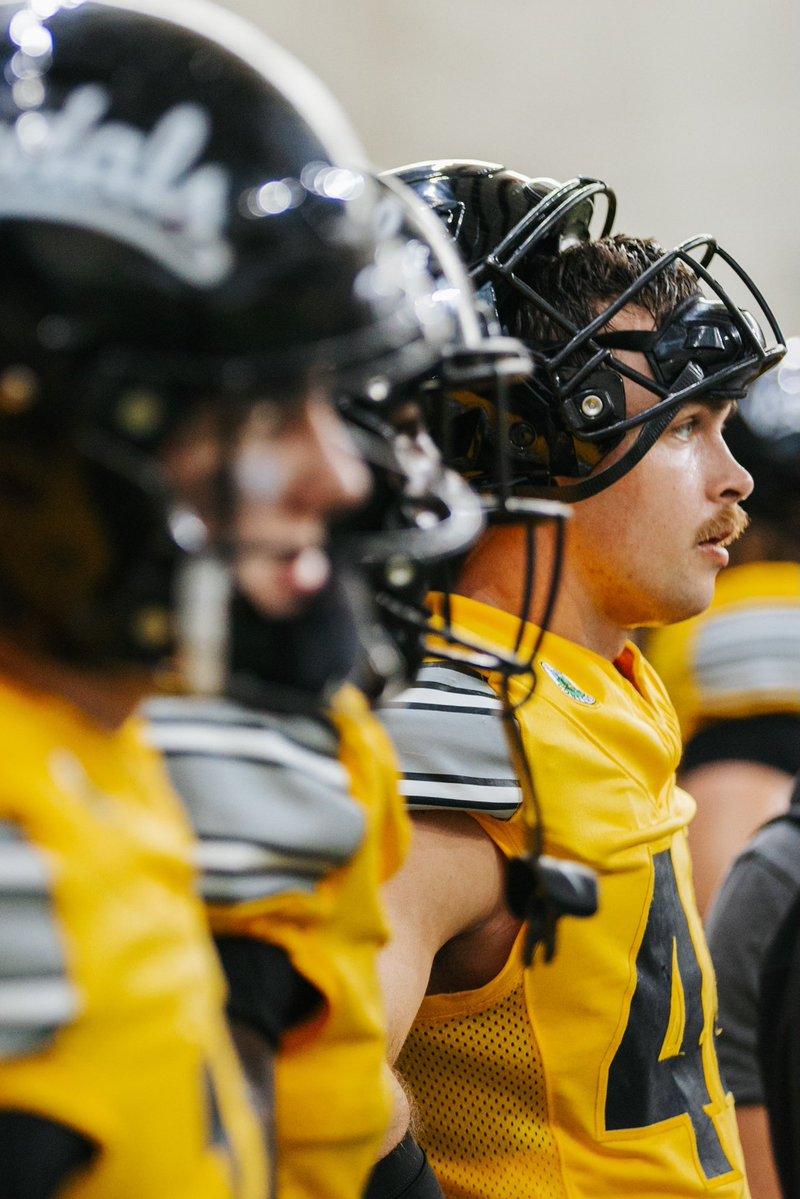 Idaho Football tweet media