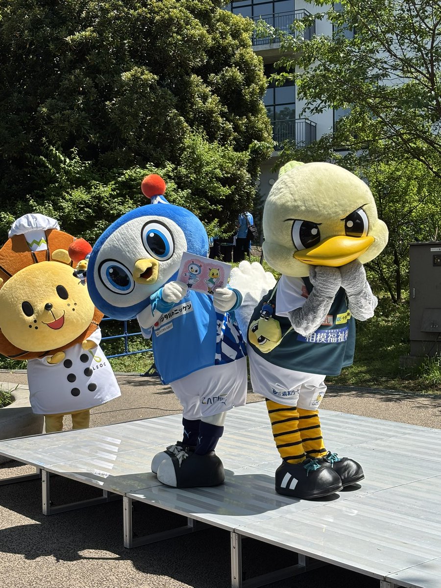 SC相模原 tweet media