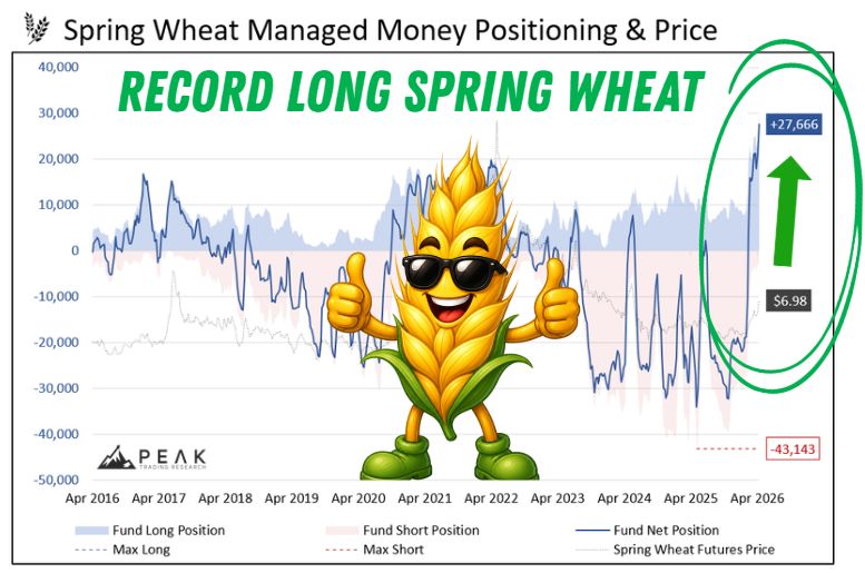 Peak Trading Research tweet media