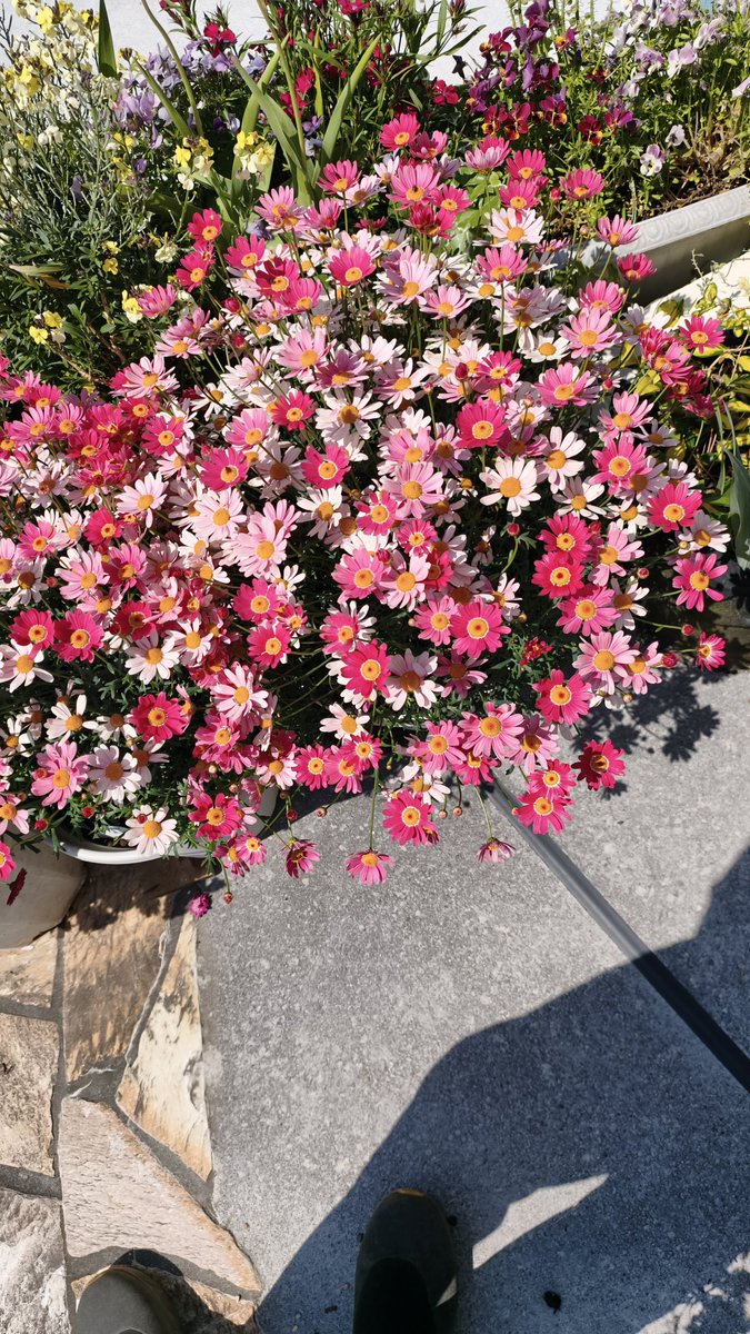 紺と灰 tweet media