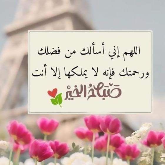 💛إبْرَاهِـيْمـ 🇸🇦 tweet media