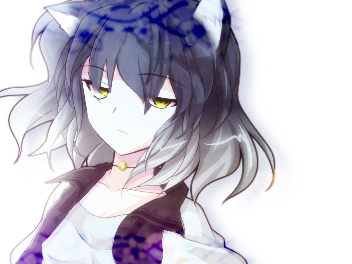 月影 tweet media