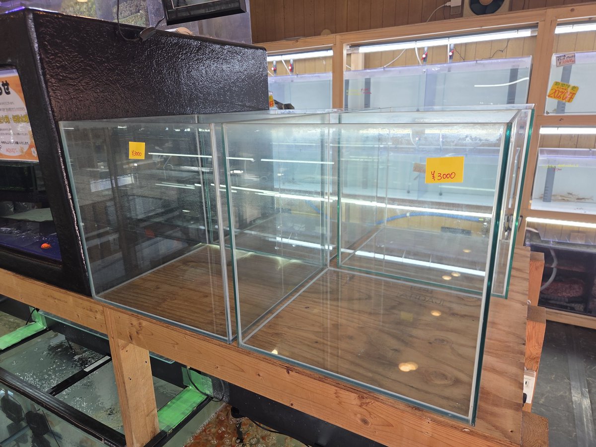 オールガラス水槽大量にストック‼️ 店頭にて出しています！水槽は古め