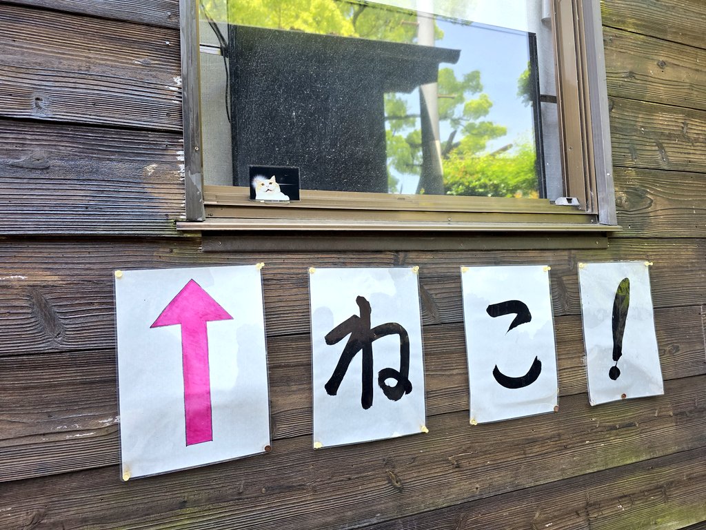 むちゃまる（5） tweet media