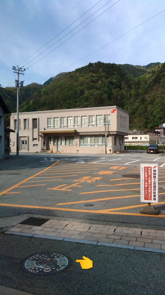 F pine(フラットパイン) tweet media