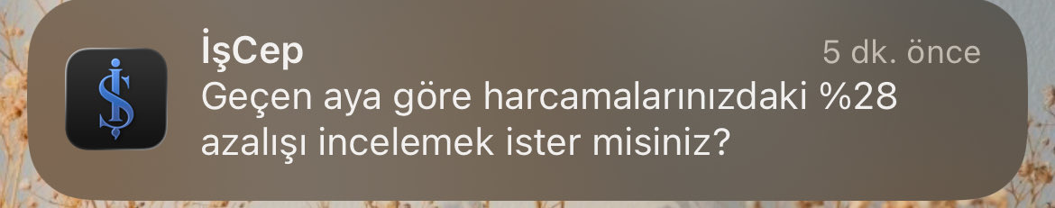 Diğer bankamı kullandım iş bankası bilmiyor.