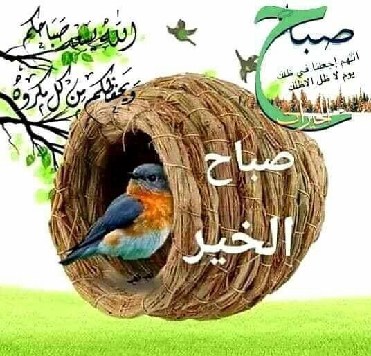 {{ برق_الخيال}} tweet media