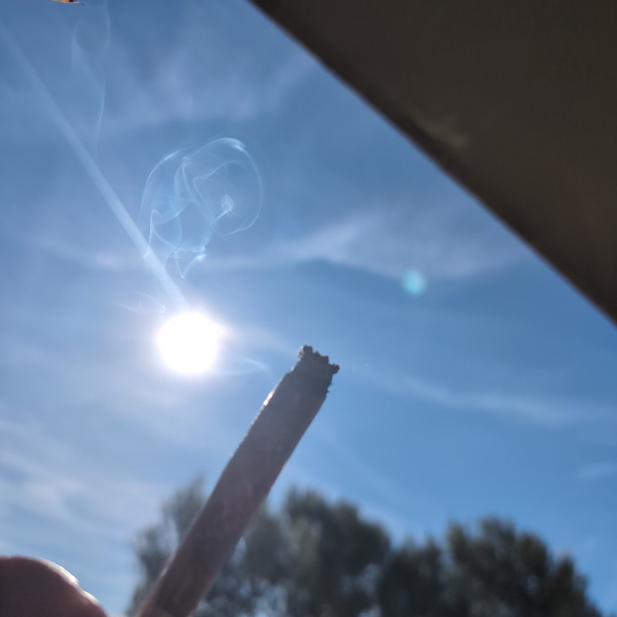 DjBelzebud's tweet image. #Balcon #PlantesBalcon #WeedLovers #JointTime #CannabisChill #StonedVibes #Herbe #smokeweedeveryday