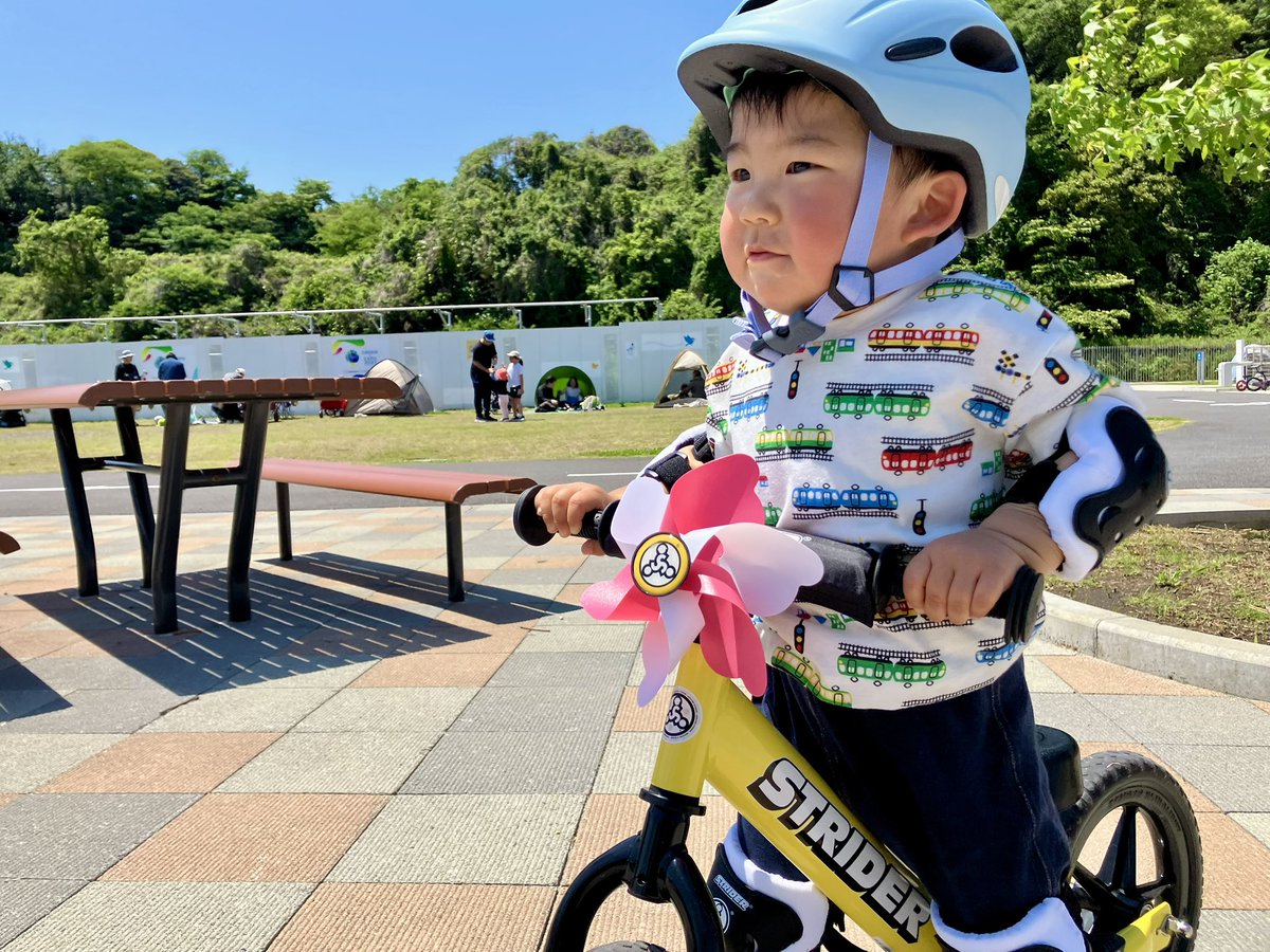 畠山 渉 Wataru HATAKEYAMA tweet media
