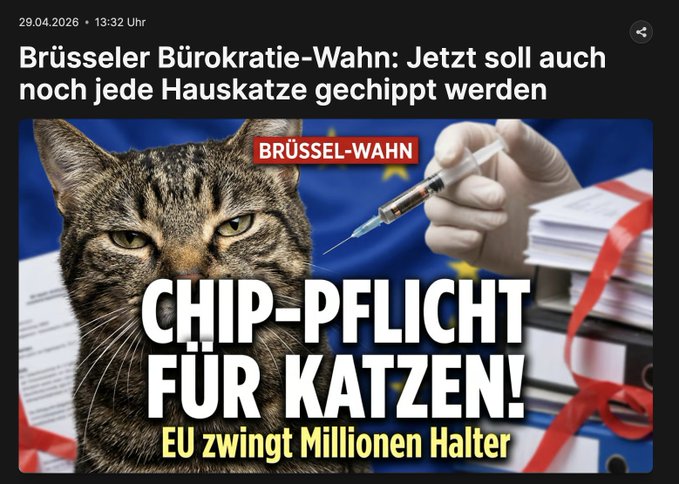 John_Arbeitet_Wieder ❤️🇩🇪💯🇷🇺💙😎 tweet media