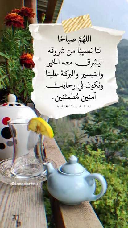 🌷Sally🌷 tweet media