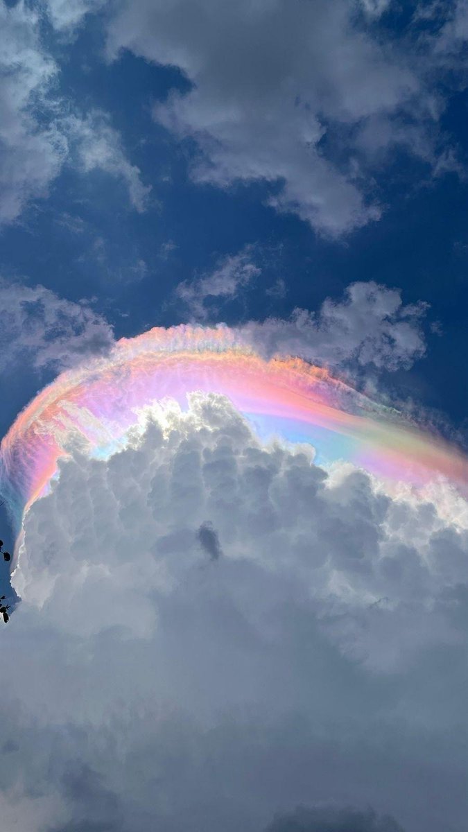 officialbitv's tweet photo. Awan Pelangi Muncul di Langit Jonggol Bogor, BMKG Ungkap Penyebab Fenomena Langka Ini
https://t.co/EzYf9yXTQa
#AwanPelangi #JonggolBogor #BMKG #FenomenaAlam #CuacaIndonesia #OptikAtmosfer #ToweringCumulus #LangitBogor #BeritaViral #FenomenaLangka #bitvonline https://t.co/BUgDVOyEJC