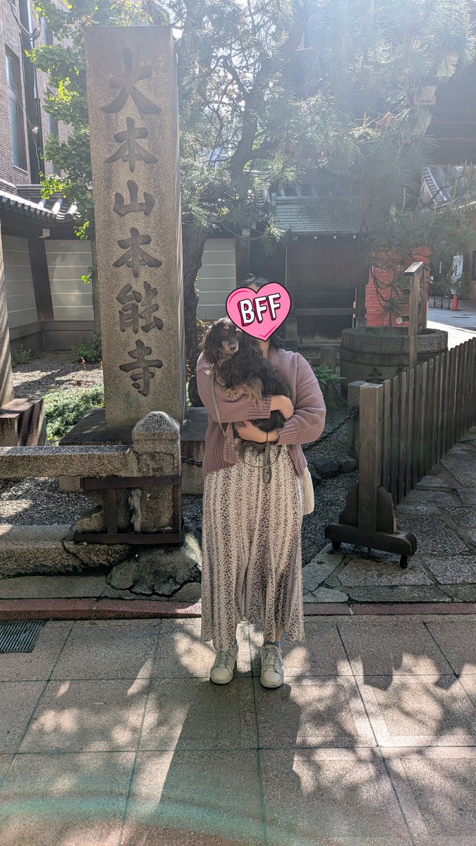 翠蓮🪷 tweet media