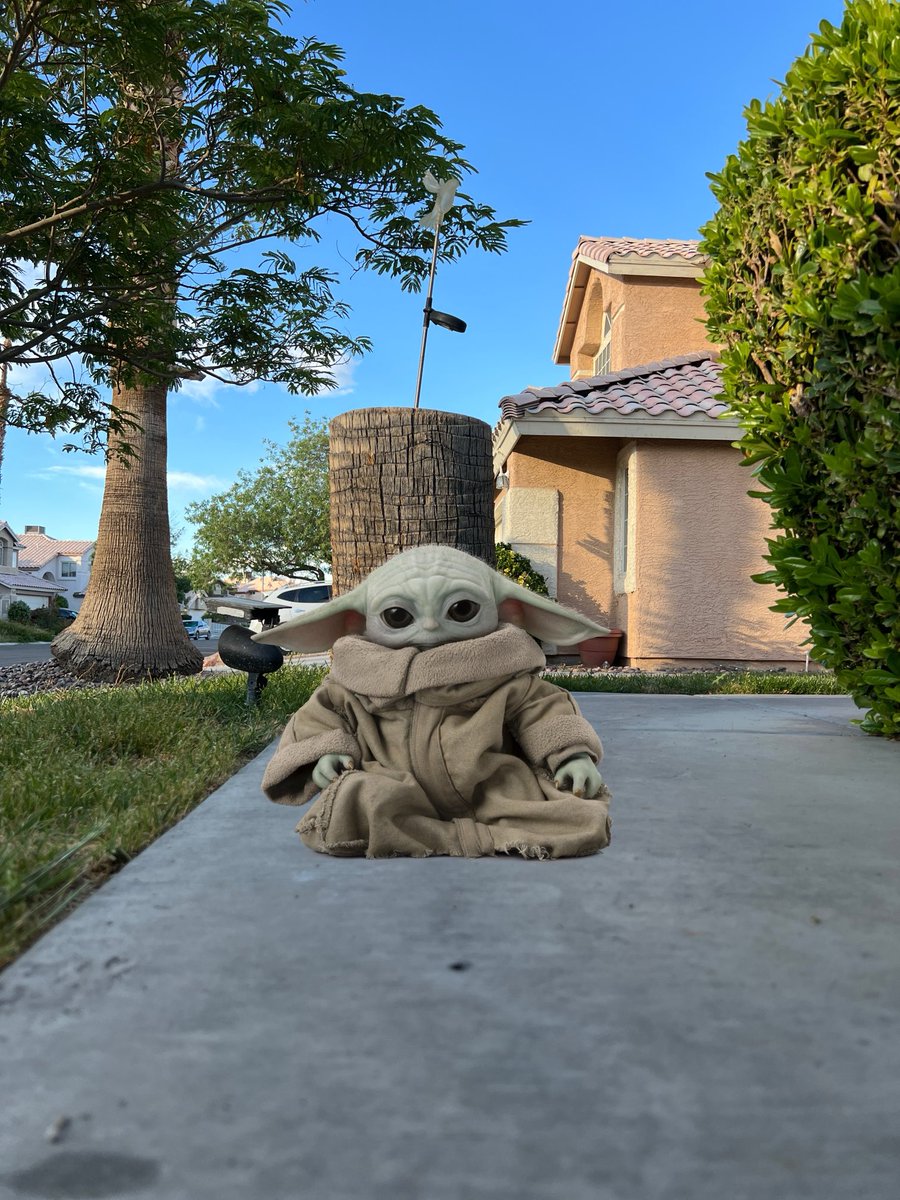 elguerolanchero's tweet image. #may Say hello to my little friend.
