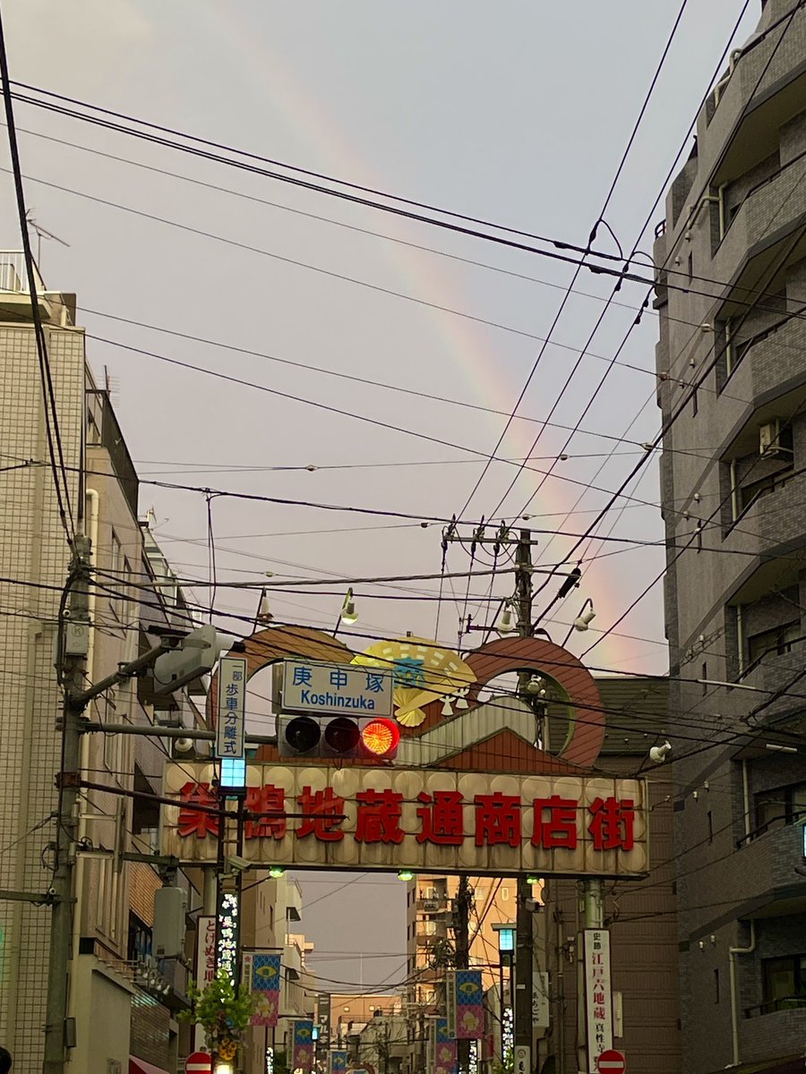 こばやしかをる tweet media