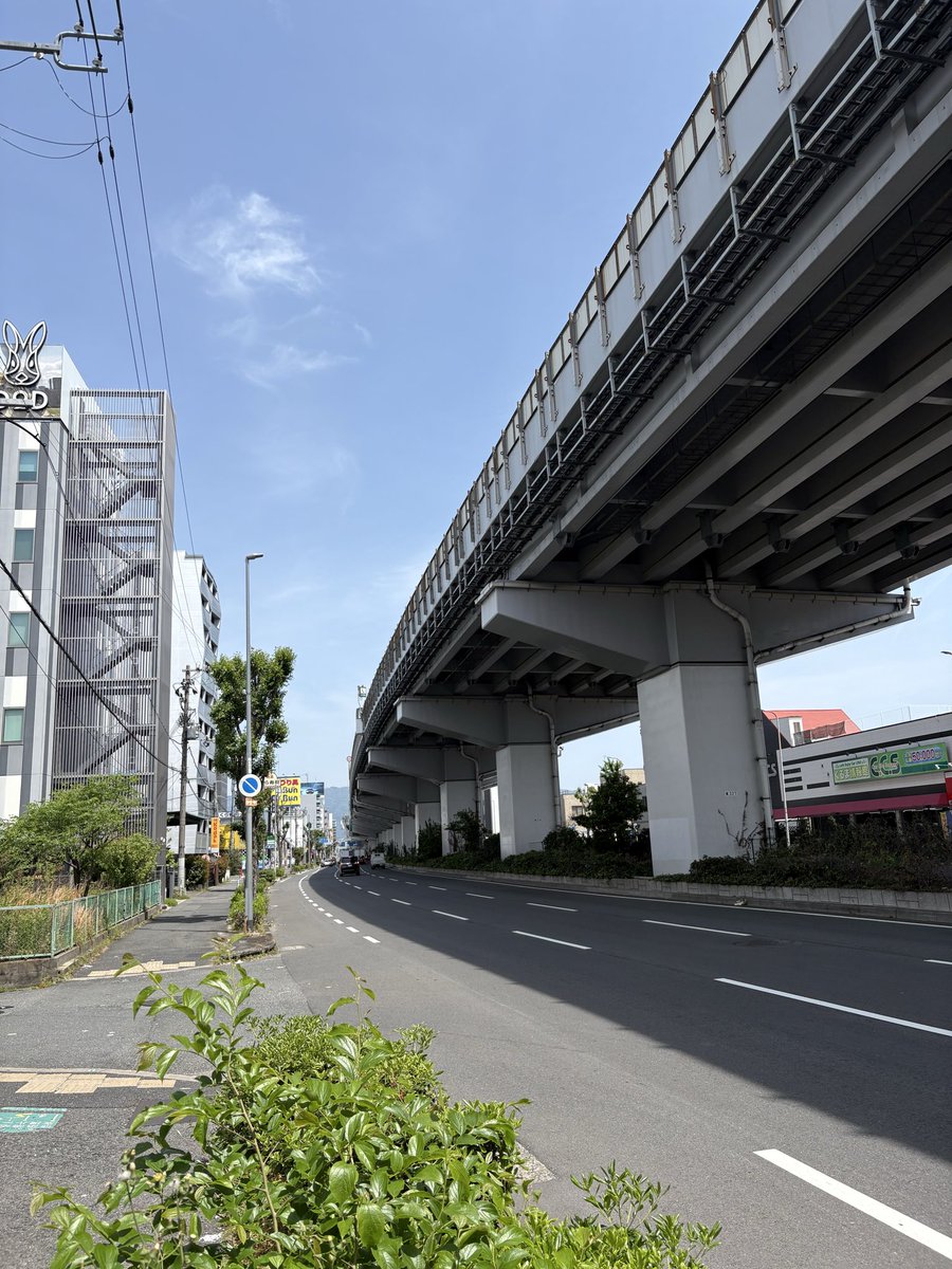 PLUS東大阪店🦍LIGHT GREEN（源氏名:心良羅） tweet media