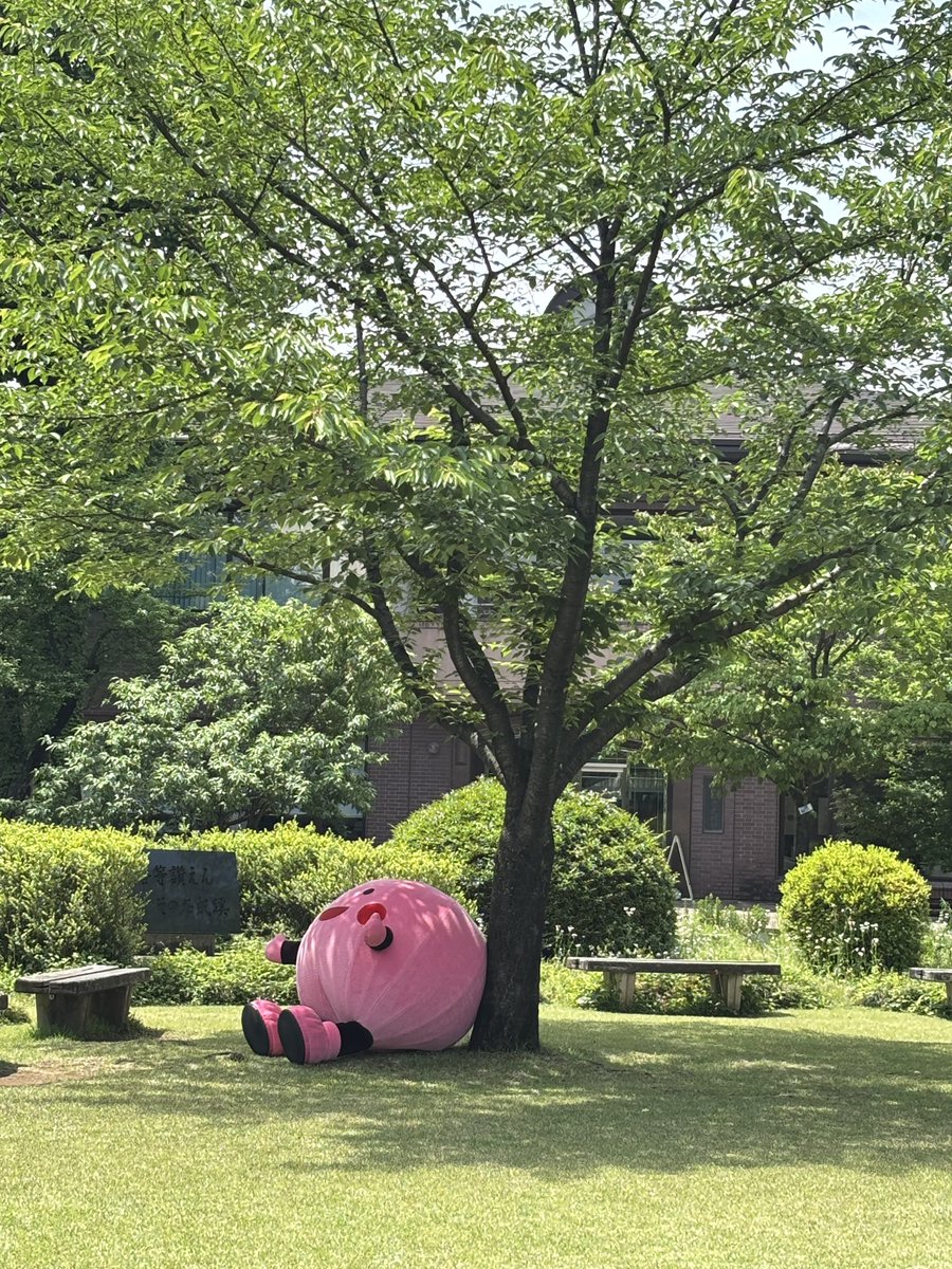 peachkun1924's tweet photo. ねえ🍑ごーるでんういーくは何してる❓
ぼくはゆっくりすごそうかなぁって🍑 https://t.co/fobt8YiA7r