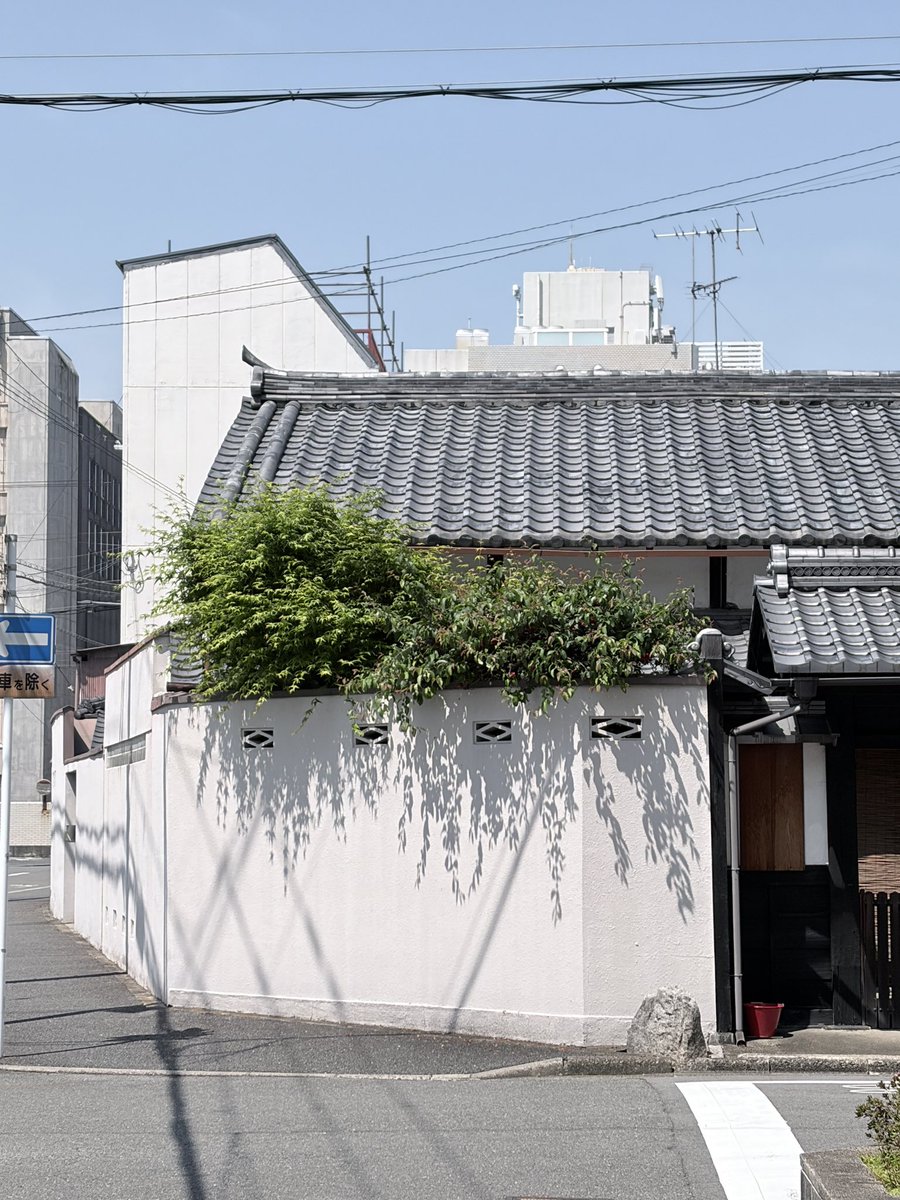 かんちゃんHiroki@音楽、会計、数学 tweet media