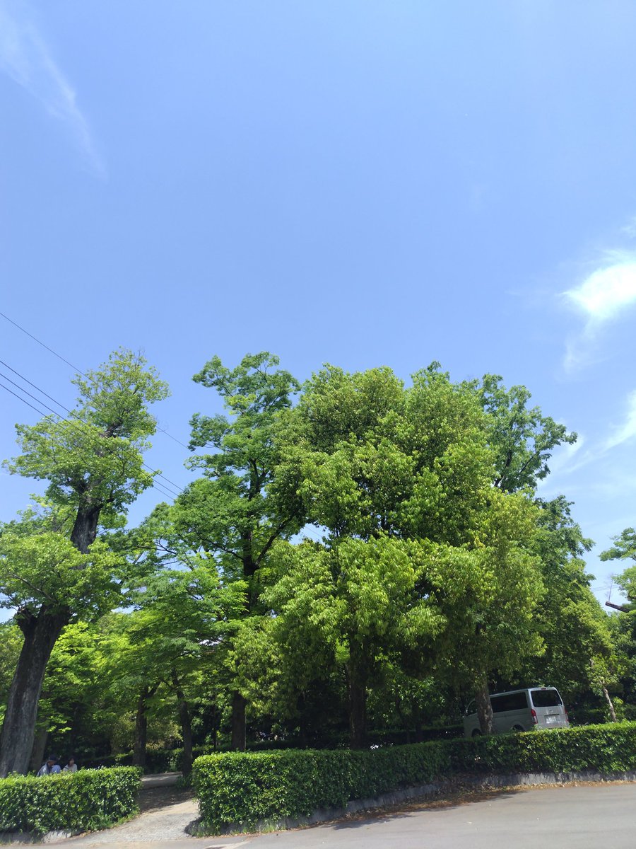 暴走アルク tweet media