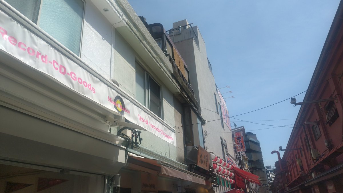 真gu-ga tweet media