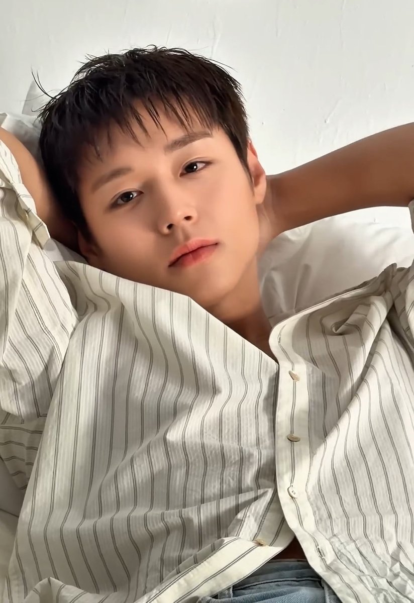 모포 tweet media