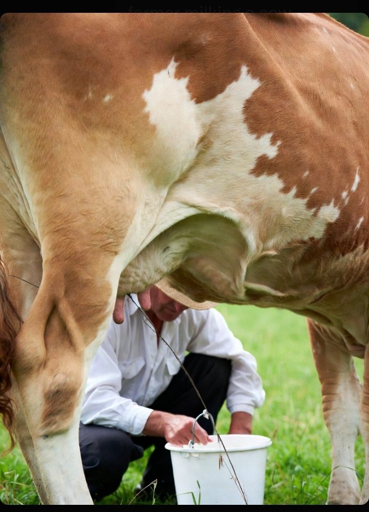 Farmer tweet media