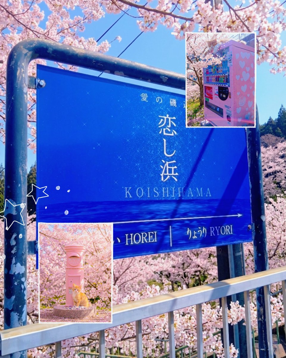 いちご🍓 tweet media