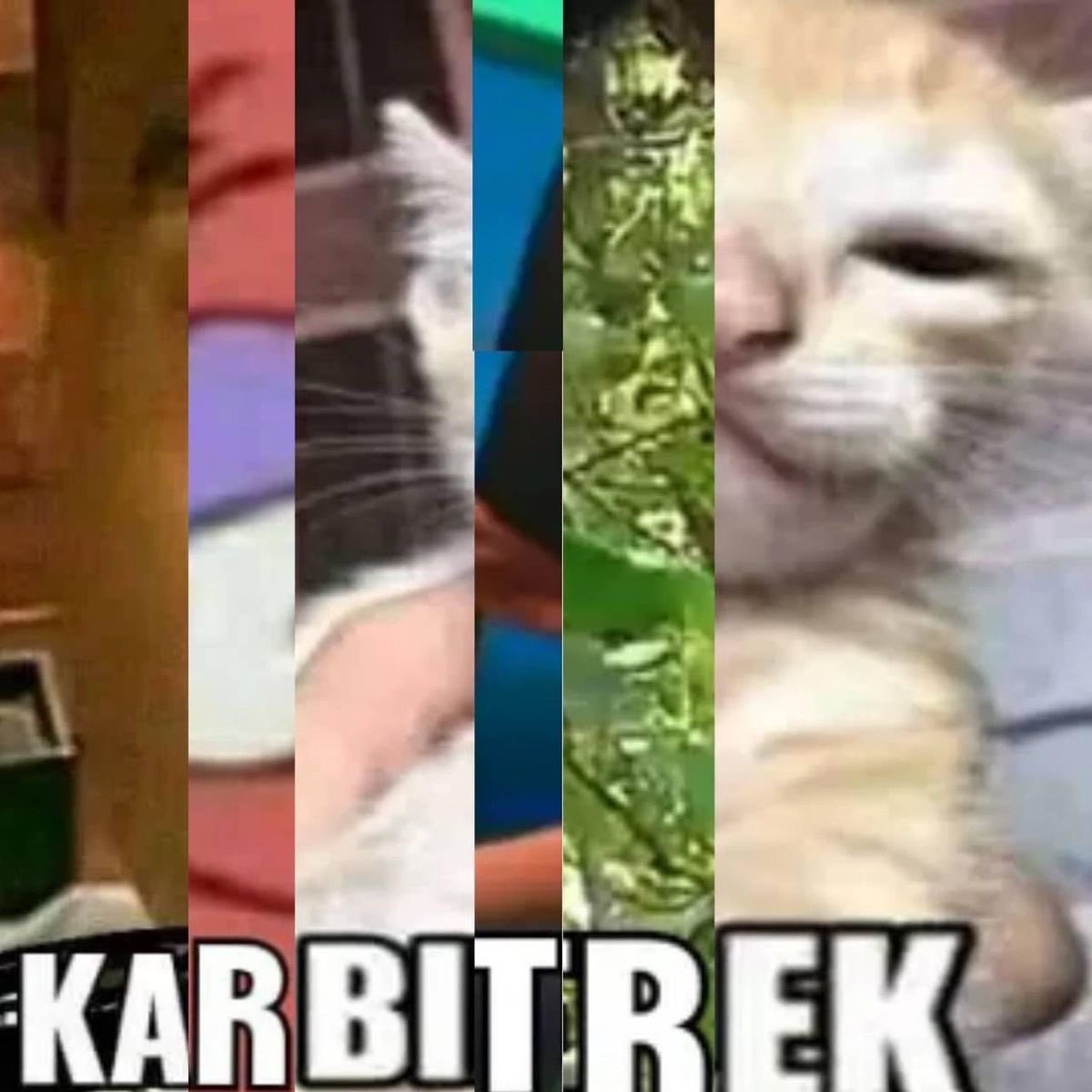 muhammad eren tweet media