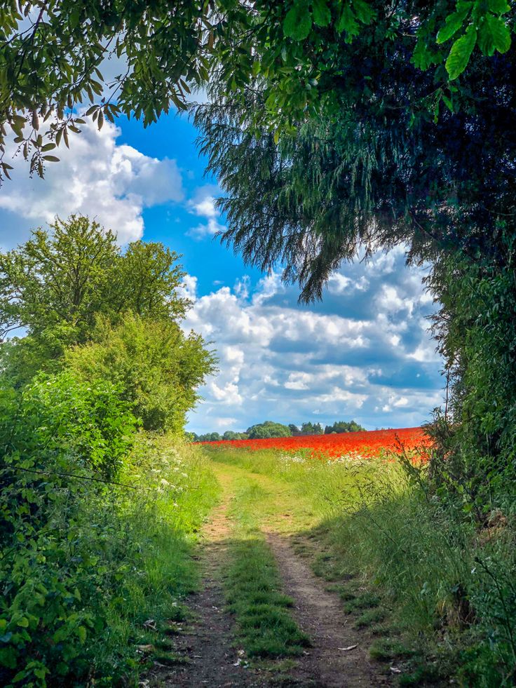 raducu_nicoleta's tweet photo. 🌿🌱🌿Happy Saturday 🌿🌱🌿 https://t.co/W90fl3DFFR