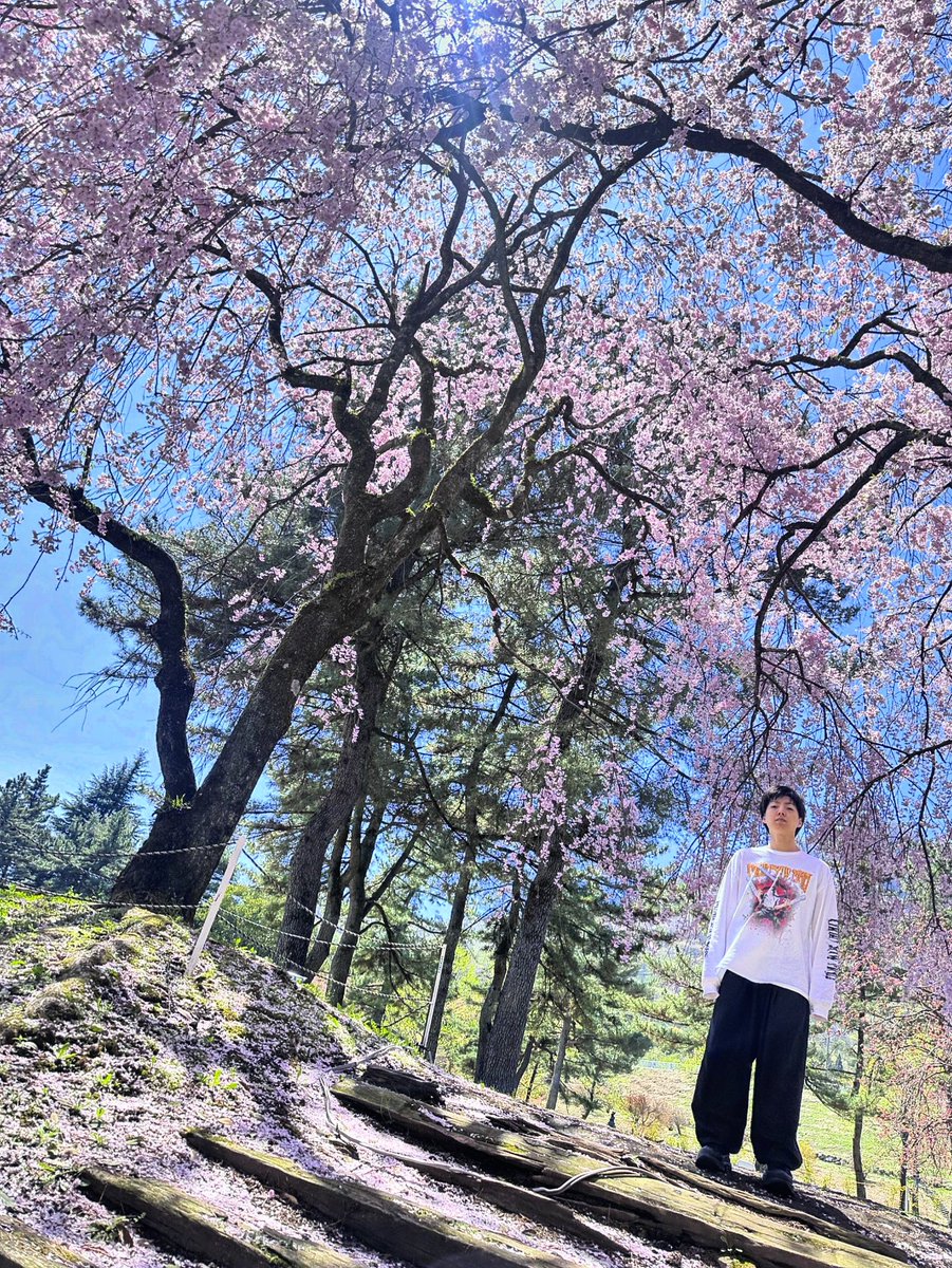 万太郎【gooパチ】 tweet media