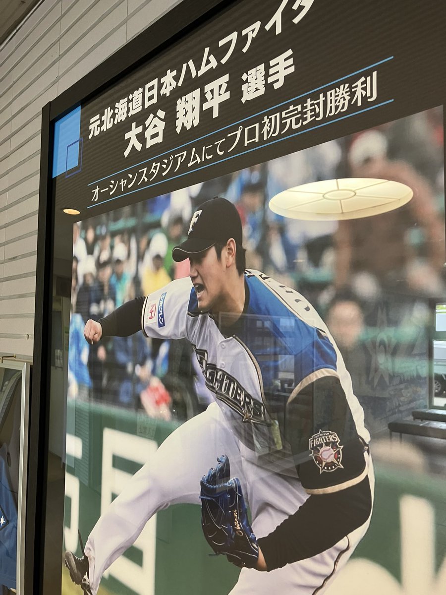 たまて函@【公式】北海道新聞函館報道部 tweet media