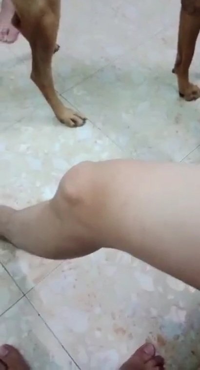 Teacher f__k 🐶 tweet media