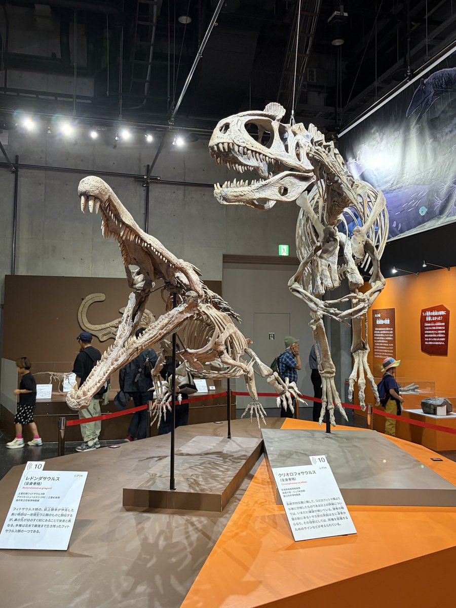 Dinofun tweet media