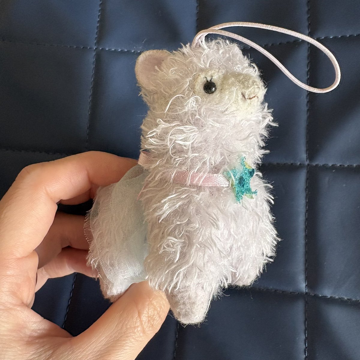 自室の掃除してたら出て来た埃まみれのアルパカ🦙

全く覚えが無い…。
我が家族は、とりあえずいらなくなったぬいぐるみ類や漫画類をワシの部屋に置いていく習性があるので、たぶんその中のうちの１つと思われ…。

アルパカにハマる前から知らぬ間にアルパカと暮らしてたんだな…。
