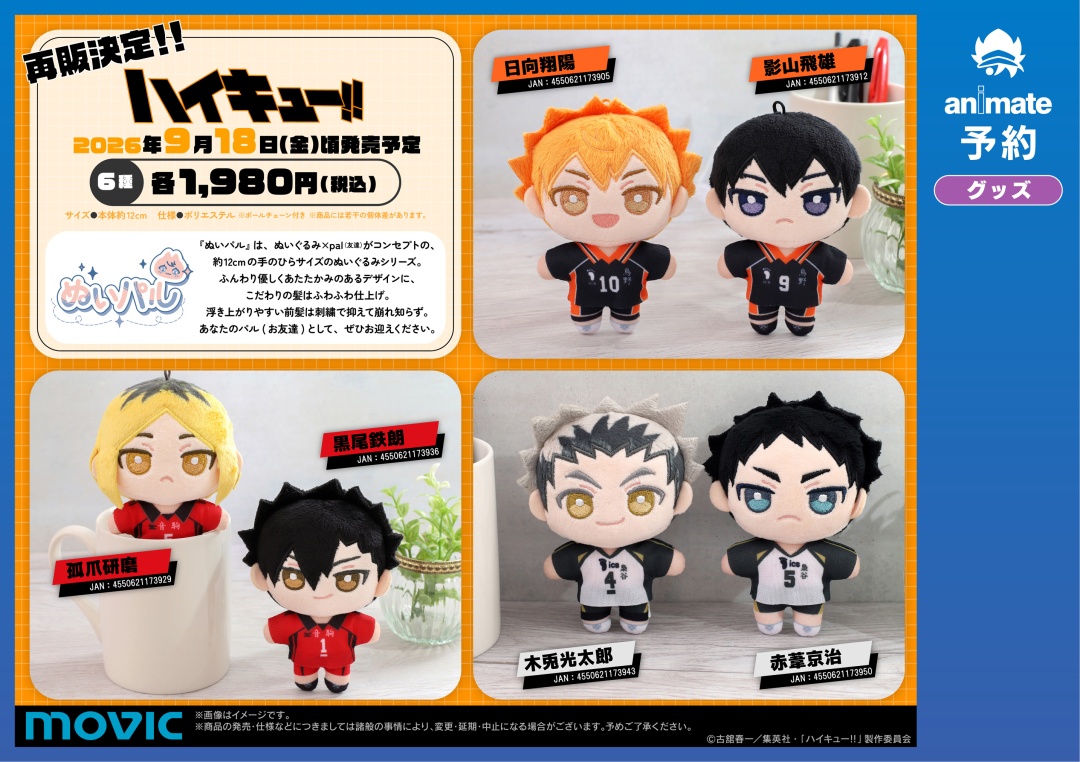 haikyu_ggin's tweet photo. アニメイト通販にて予約受付中！

ハイキュー!! ぬいパル（ぬいぐるみ）第1弾・第2弾【再販】

https://t.co/DZF4yVsJxU https://t.co/uNvHKYAOBo