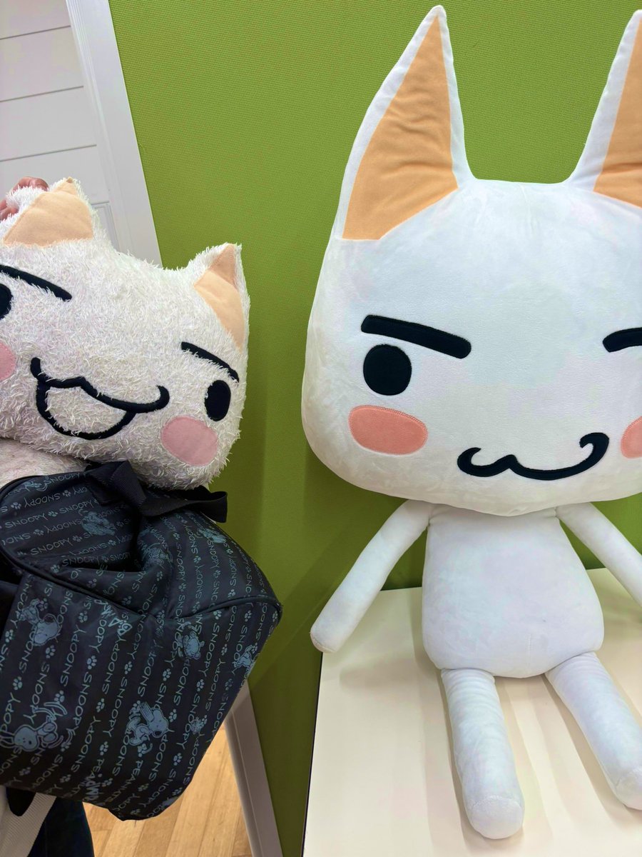 itoro_toro's tweet photo. いっぱいトロちゃんいてかわいかった〜！
#トロ誕2026 
#どこでもいっしょ https://t.co/9sprTRbwfh