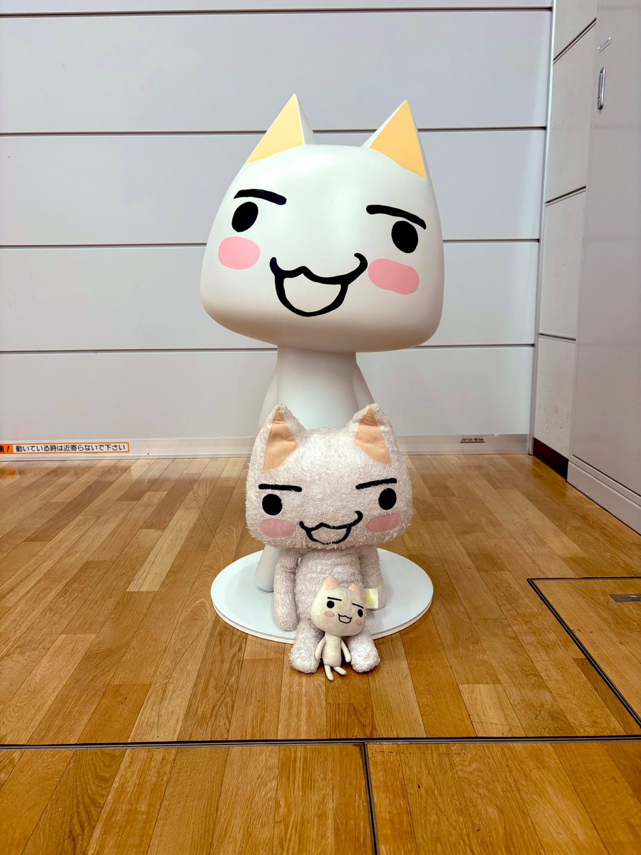 itoro_toro's tweet photo. いっぱいトロちゃんいてかわいかった〜！
#トロ誕2026 
#どこでもいっしょ https://t.co/9sprTRbwfh