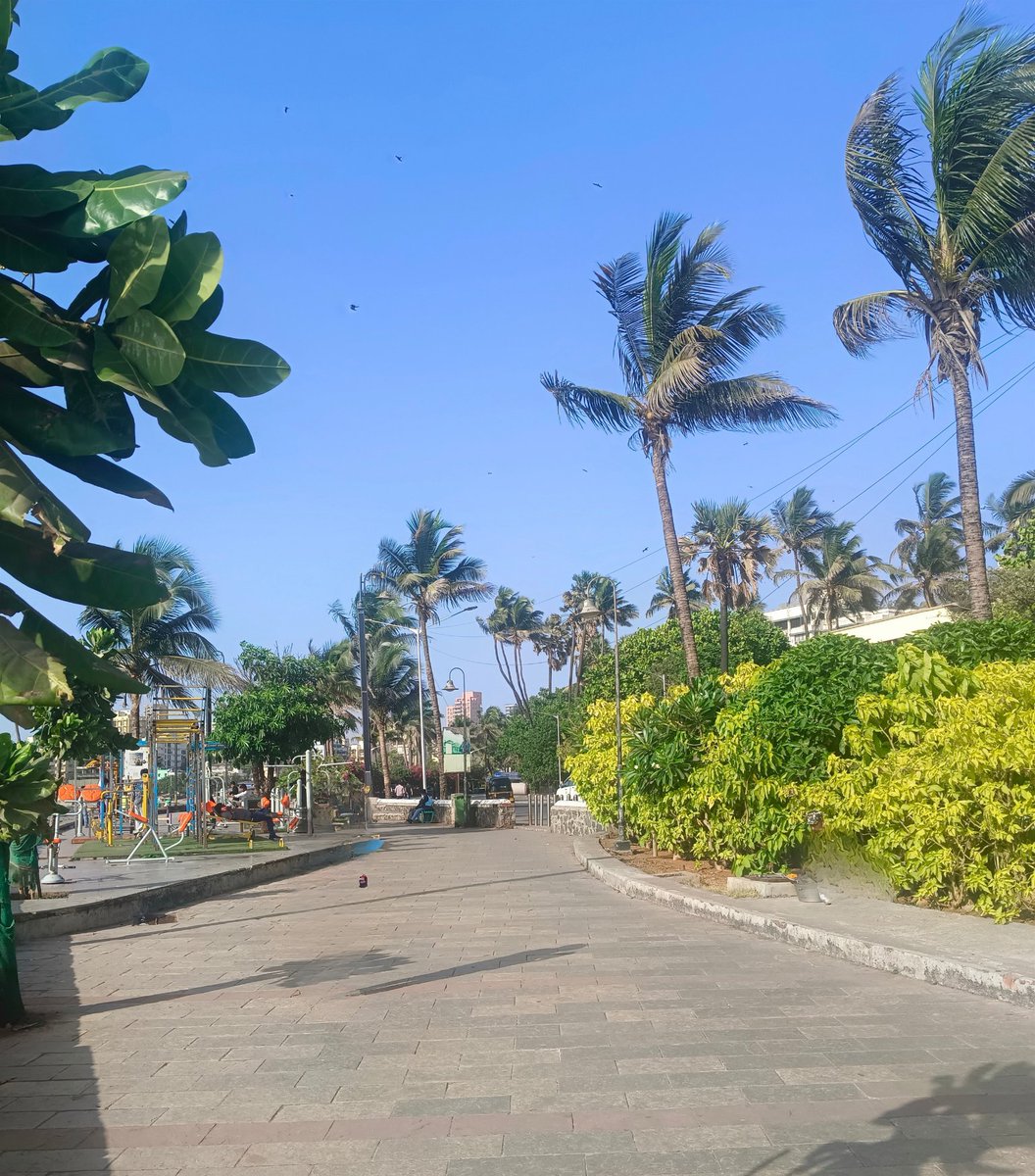 melvynjm's tweet photo. Warm evenings in the month of May, @ Promenade, #Bandra #joggerspark https://t.co/V1xxa1AMtG