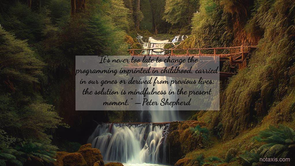 notaxis's tweet image. #inspirationalquotes #inspiration #inspirational