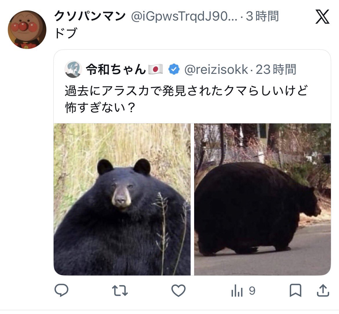 ドブ寛 tweet media