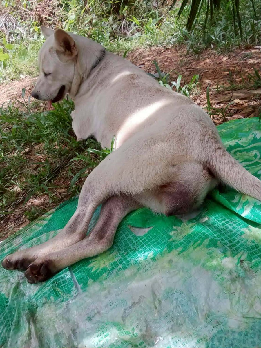 Teacher f__k 🐶 tweet media
