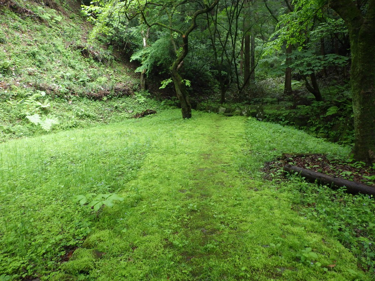 小峰公園・小峰ビジターセンター tweet media