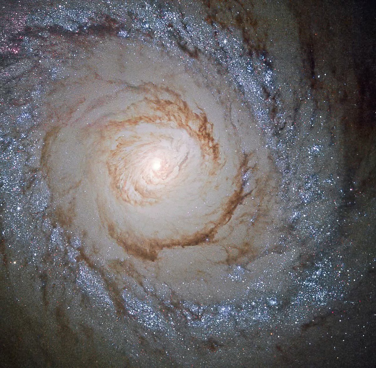 Starburst Galaxy Messier 94: 
A Cosmic Fireworks DisplayImagine a breathtaking island universe, just 15 million light-years away in the constellation Canes Venatici—the Hunting Dogs. Messier 94 is a stunning face-on spiral galaxy spanning about 30,000 light-years, with graceful