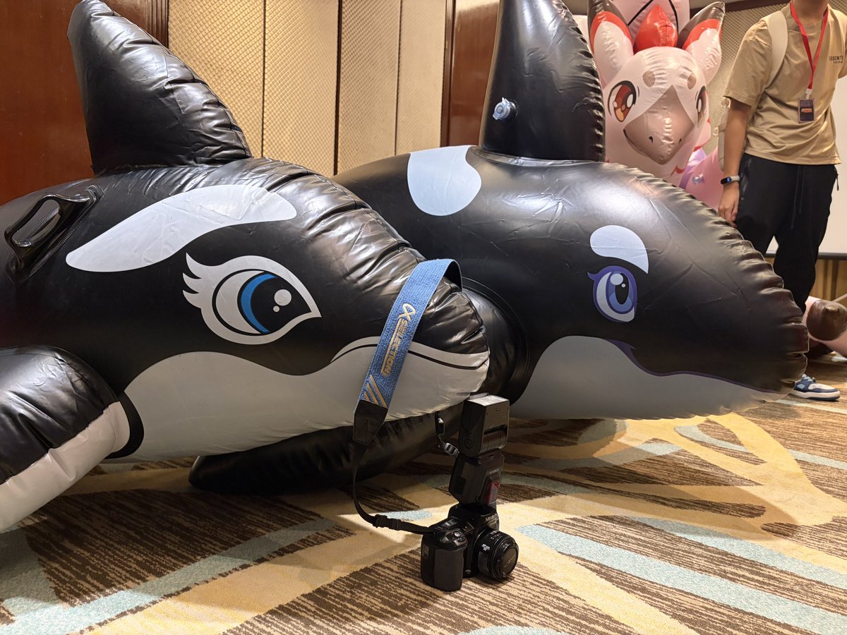 AndyPhotoOrca's tweet photo. Gasp! Oh noes! PhotoOrca has turned into a pooltoy again :O

The question is… which one?
#squeakysaturday https://t.co/yCHsR22orr