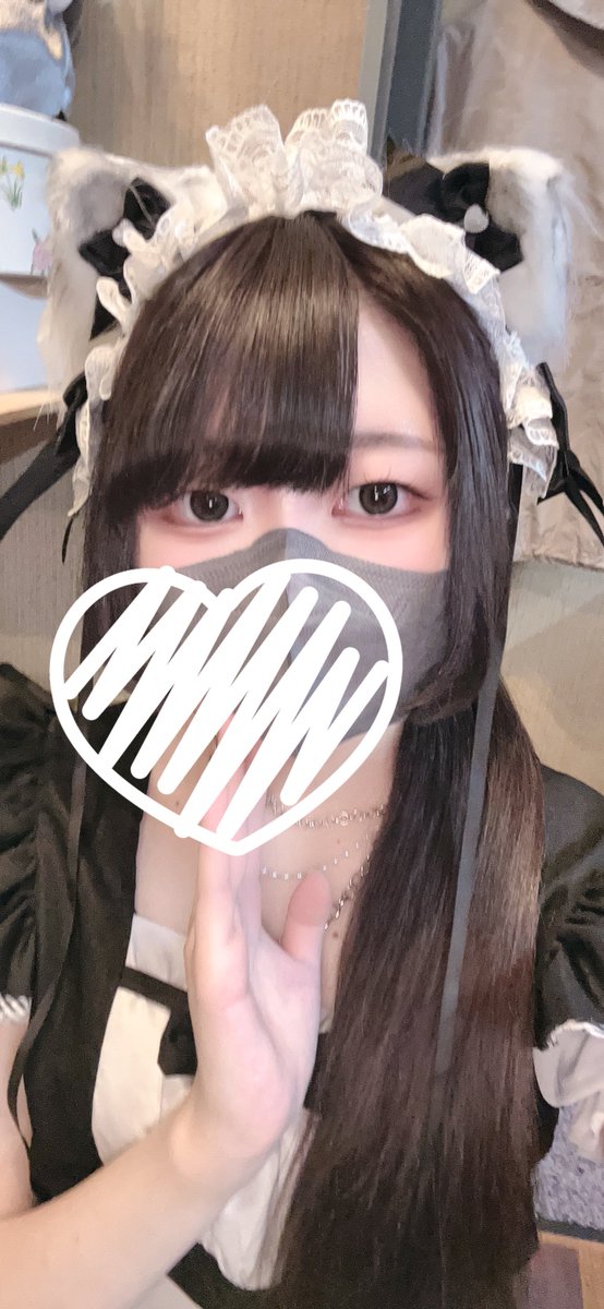 めいどかふぇCATS 大阪・京都・高槻 アニソン メイドカフェ tweet media