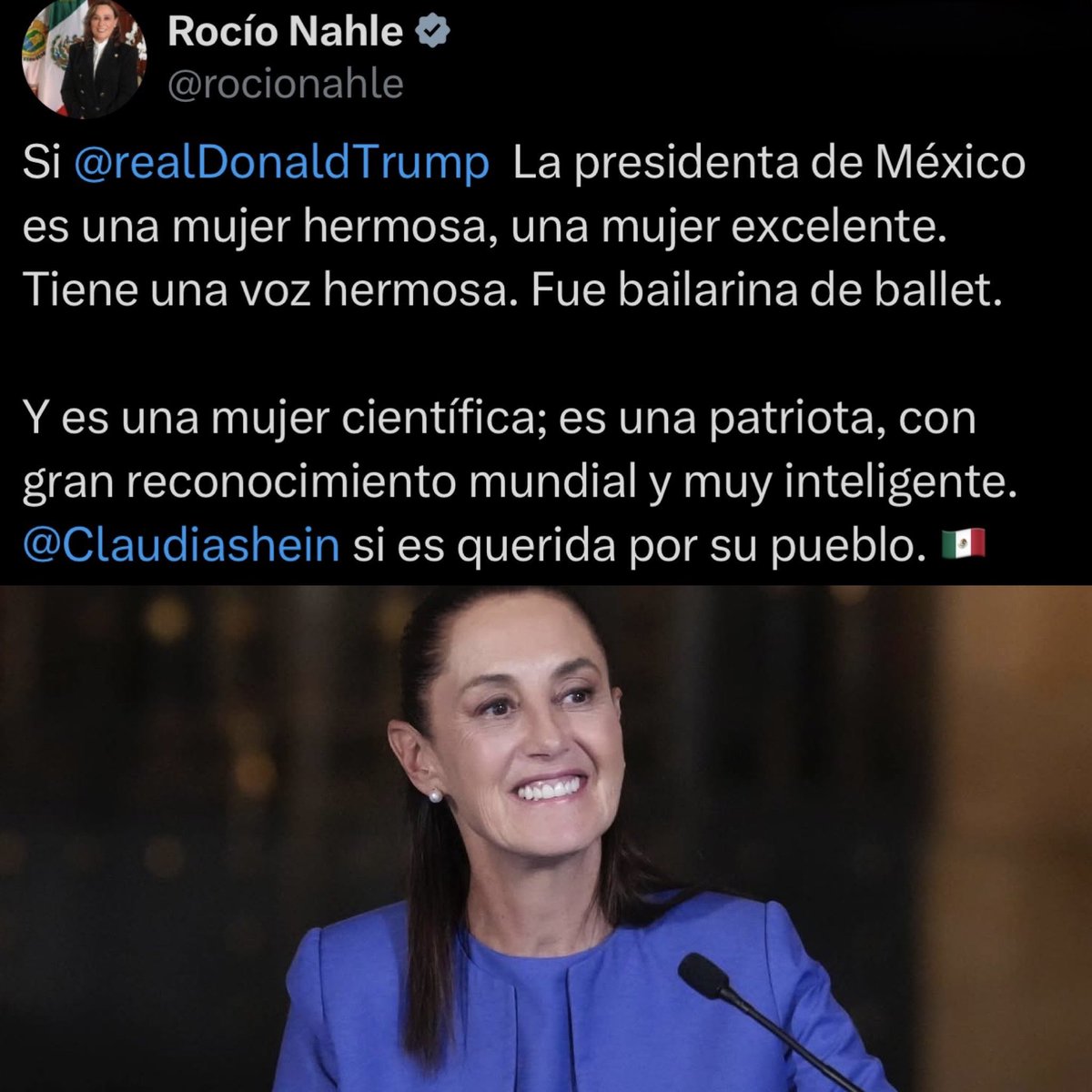Cerebros tweet media