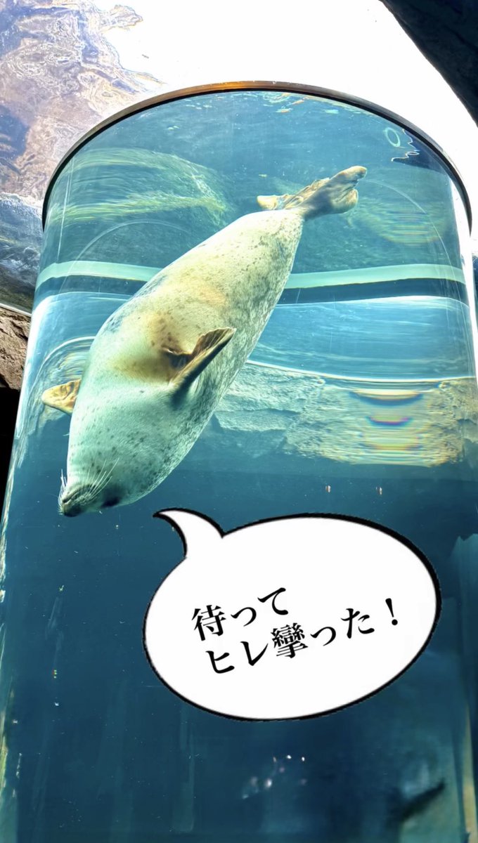 清塚信也 tweet media