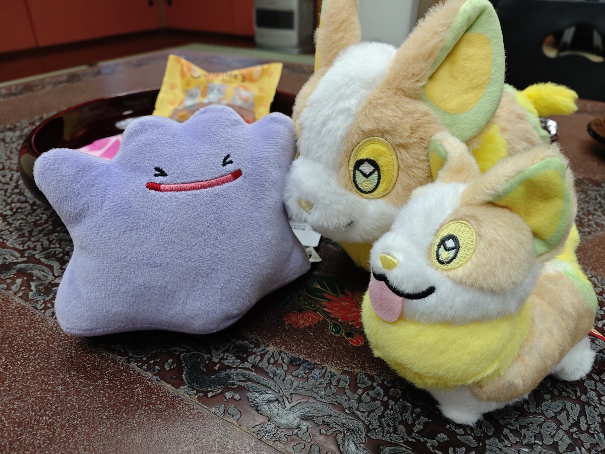 tnznt57's tweet photo. ぬい活の思い出と気になったアニメやゲームについてたくさん呟いているアカウントです
・お家には等身大ぶーちゃん、ふわぬお、ガーディ、メタ、ワンパチ…ぬいがたくさんいます🧸
・お散歩のオトモはふわぬお、ちびワンパチ
・ぽこポケスローライフ満喫中🏖️
・ぽけまぜ、ポケポケはちょっとだけ🤏 https://t.co/t45eY6FZvM