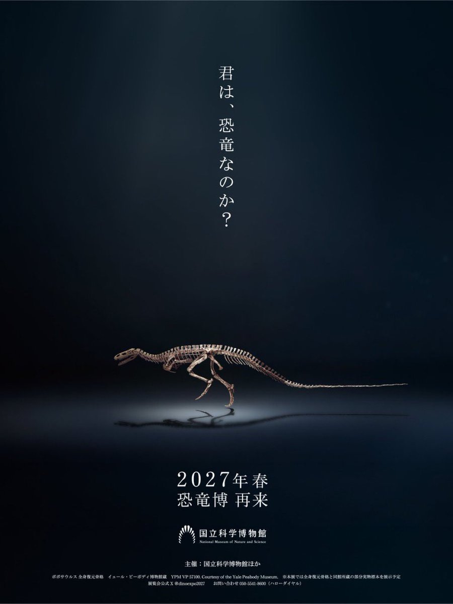 航次朗 tweet media